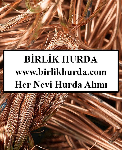 İki̇zce Hurdacı 