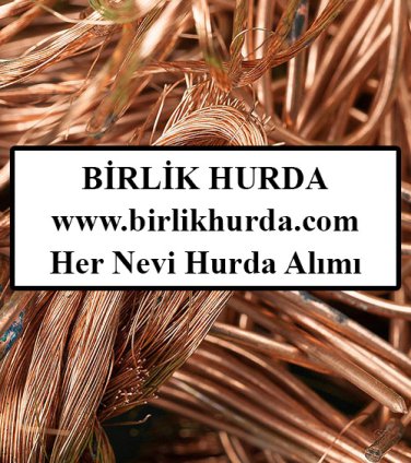 İkizce Hurdacı 